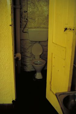Toilet in New Zealand. This shot reminds me of the movie "Trainspotting", though it's far from the worst toilet in New Zealand.
