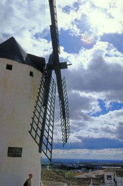 Willo and windmill, La Mancha, Spain