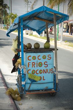 Rolling coconut stand