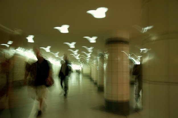 Light birds in the subway